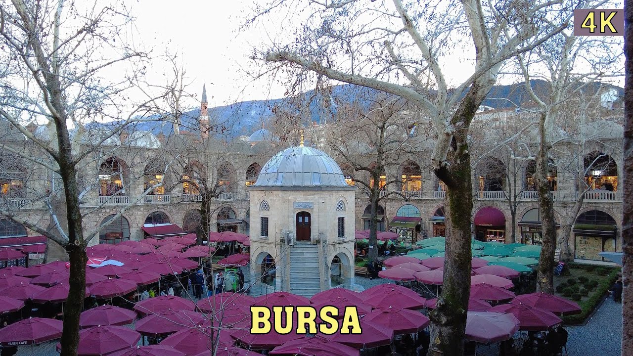 Bursa